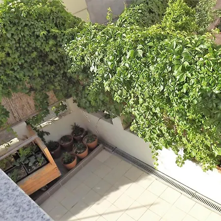 3 * Spalato
